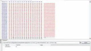 How to Edit a Checksum on a MW2 pgk  File