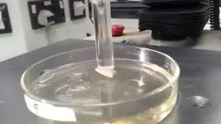 In vitro Mucoadhesion test of Chitosan and Gelatin film