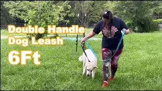 Making Walks More Fun with the Wholesale Double Handle Dog Leash 6Ft