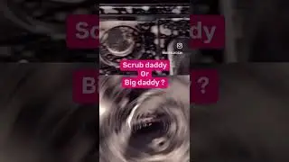 Scrub daddy vs big daddy! Cleaning like a girl boss! #cleaning #stove #cleantok #cleawithme
