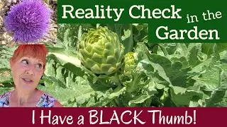 REALITY Check in the Garden - I Have a Black Thumb!
