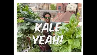 From Martian Tower Garden to Morning Smoothie - Harvesting Kale - Urban Gardening