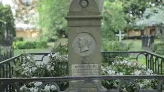 Edward Storm