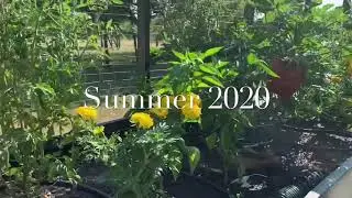 Texas Hill Country Gardening, Raised Bed Garden Tour