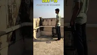Day-14 Of Skinny To Fit Journey| #shorts #ytshorts