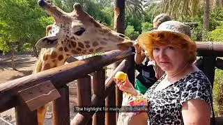 Top 10 Safari Parks in the United States | America&rsquo;s Wild Side