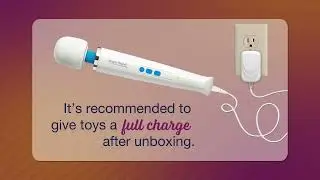 Sex Toy Basics: How to Charge, Turn On & Use Your Toy | Lion&rsquo;s Den Q&A