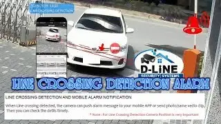 Dline Security Systems: Line Crossing Detection And Alarm Notification.