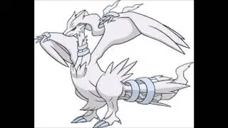 Ideas For Pokemon Local Acts Ambassadors: Reshiram
