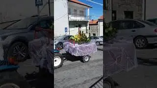 Majestosa Procissão em Honra de Santa Bárbara #Festa2024 #VideoSaraCosta