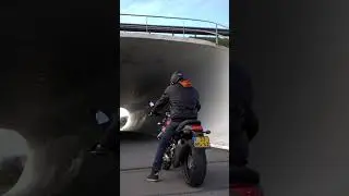 Griso 1200 Start Up. Does it sounds better than the V100. Mandello #motoguzzi #v100  #griso