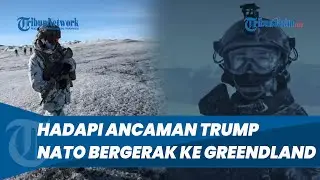NATO Kerahkan Militer Hadapi Pasukan Donald Trump di Greenland
