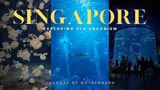 SINGAPORE days - Visiting SEA aquarium at sentosa with toddler