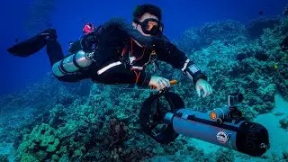 My Essential Dive Gear for EVERY Dive!