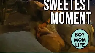 From Chaos to Calm: Ozni + Dog Love 🐾 | Boy Mom Life Daily Vlogs