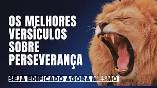 TOP 7 VERSÍCULOS BIBLICOS SOBRE A PERSEVERANÇA