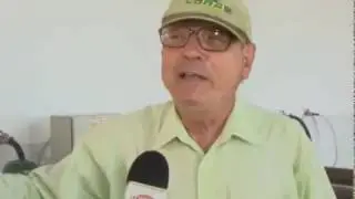 Muda de cana pr&eacute;-brotada - REVISTA DO CAMPO