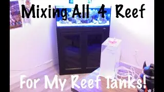 How I Mix & Dose All 4 Reef In My Reef Tank!