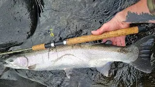 One Cast One Steelhead