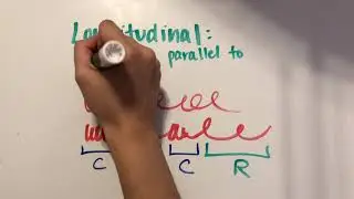 Types of Waves in Physics