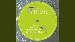 Transmission