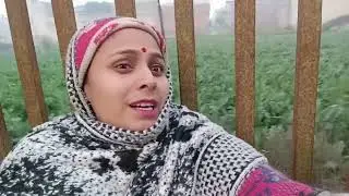 🙏🙏🙏🙏⭐😆