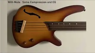 Upright bass sound from Ibanez SRH500F using mute and impulse response (IR)