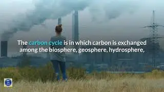 Abiotic-Biotic Environment: Effects Of Global Warming:
