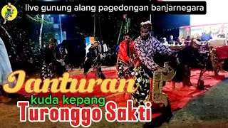 Janturan Malam‼️Turonggo Sakti || Live gunung alang pagedongan banjarnegara