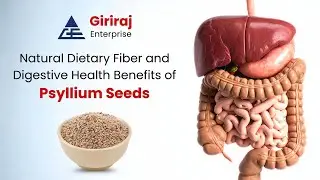Natural Dietary Fiber and Digestive Health Benefits of Psyllium Seeds