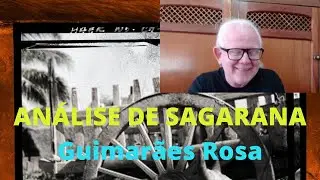 Análise de Sagarana, de Guimarães Rosa - Características Gerais