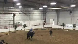 Prairie Lily   Laura Callaghan   Freestyle Round 1   Individual Trot C   2021 Sask Provincials