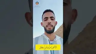 الأهرام وسعيد بن عفير / عبد الرحمن النحوي