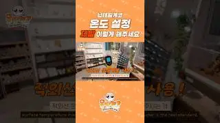 납테일게코 사육세팅의 가장 기본!