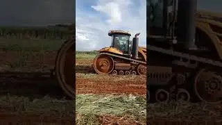 Cat Challenger MT975C 600 HP