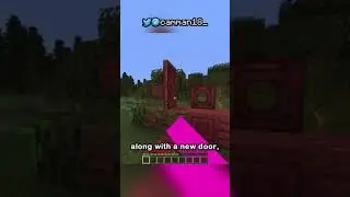 new minecraft snapshot (mangrove wood + mud blocks)