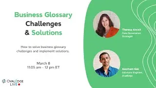 Business Glossary Challenges and Solutions