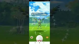 ✨ Shiny Legendary Therian Tornadus ✨ Pokemon Go Легендарный рейд ✨ Шайни Териан Торнадус ✨