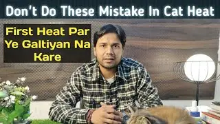 Cat In Heat ! Don't do these mistakes when Cat in Heat. जब बिल्ली हीट पर हो ये गलतियां न करे
