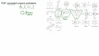 05 bioaccumulation biomagnification and POPs