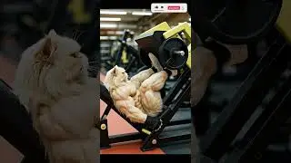 What NOBODY does at the gym&hellip; #ai #gatos #funny #gym