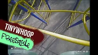 Central Park Kharkiv | Tinywhoop Freestyle | 65mm 0802 25000kv