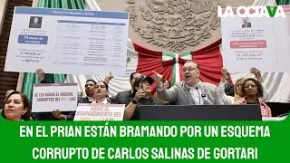 MORENISTA EXHIBE CONCESIONES de FOX y CÉSAR DUARTE en el CÁRTEL del AGUA del PRIAN