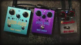 Way Huge&reg; On The Floor: Supa-Puss Delay + Pork Loin Soft Clip Injecttion + Conquistador Fuzztortion