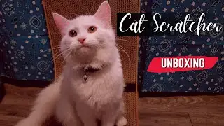 Unleash the Fun: Assembling Fukumaru's L-Shape Cat Scratcher