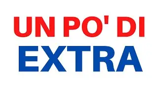 TELECAMERA POSTERIORE E OSCURANTI PER VAN