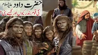 Hazrat Dawood ki Ummat Bandar ku bani | Dawid Dawood | Qassasul Anbia | #zimbal