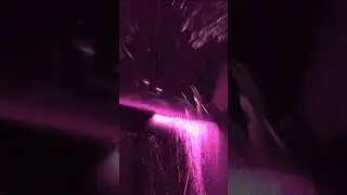 F0wl3r C0ll3ctor of Fl0w edm techno | @PDragonLabs