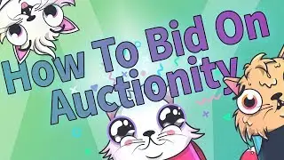 Tutorial : How To Bid On Auctionity