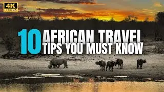 10 MUST KNOW African Travel Tips for 2025 Safari, Safety & Hidden Gems!